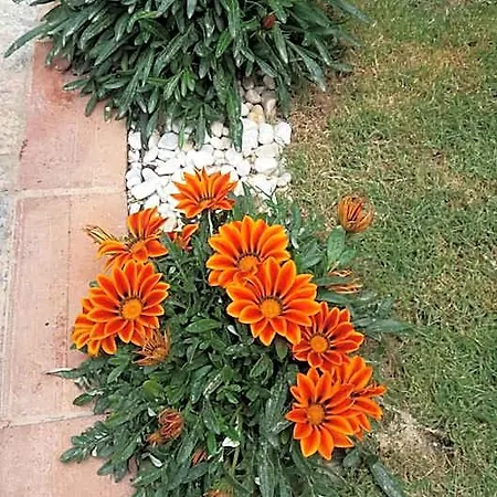 Sa Cralla Ξενοδοχείο 3*