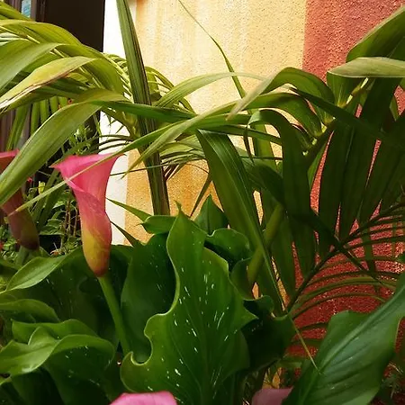 Sa Cralla Ξενοδοχείο